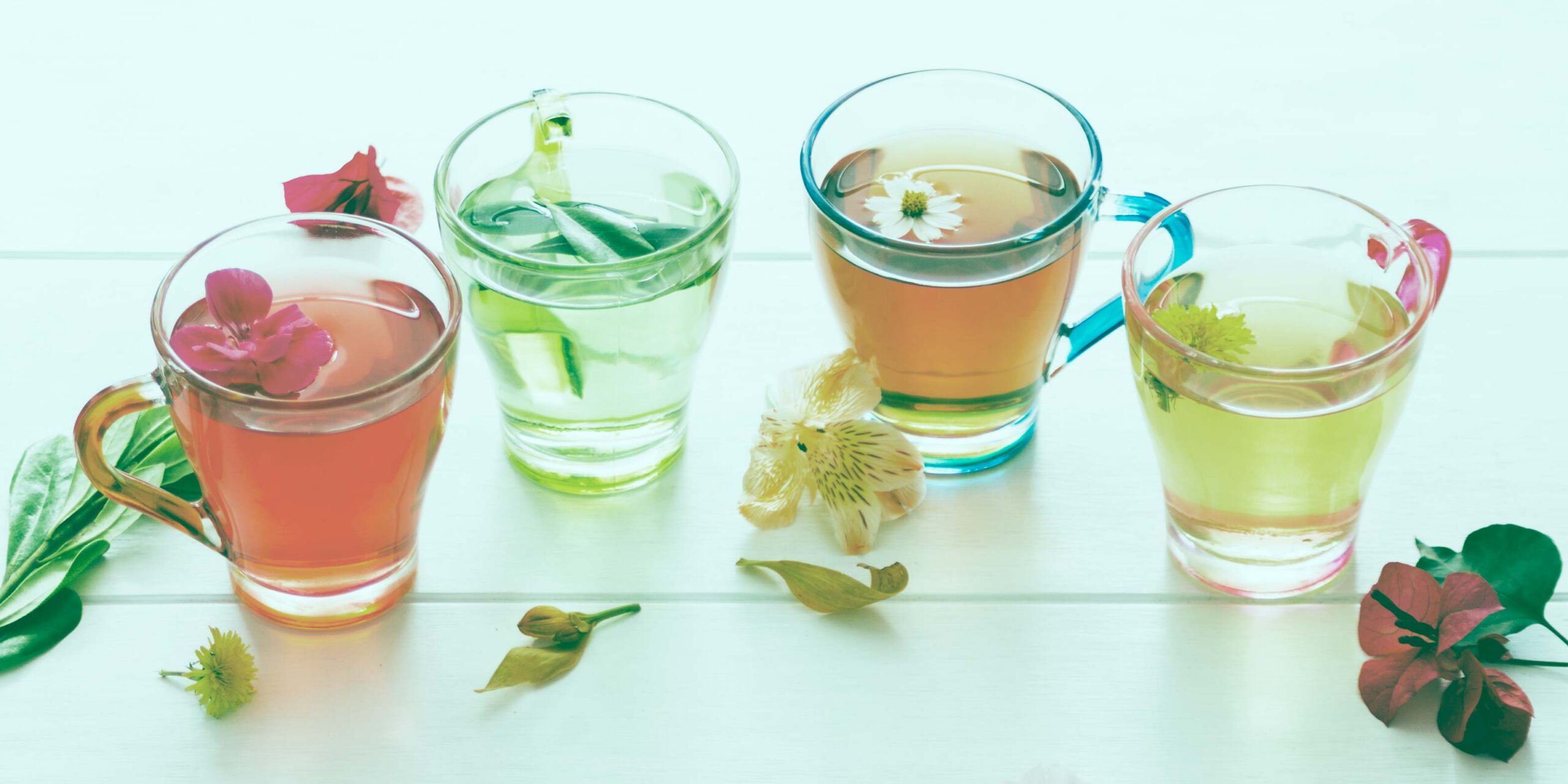 tisane-benessere-femminile