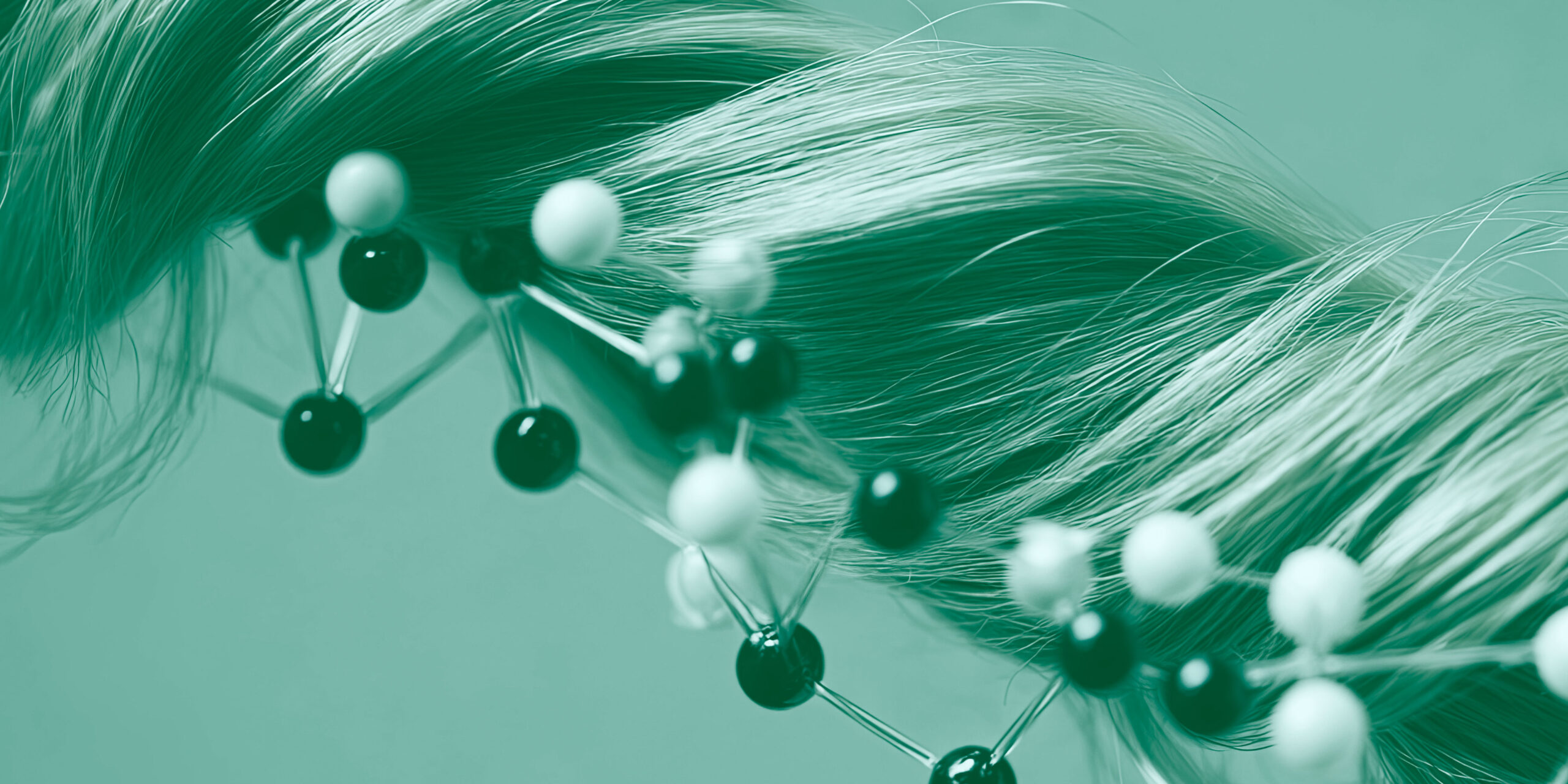 testosterone e caduta dei capelli